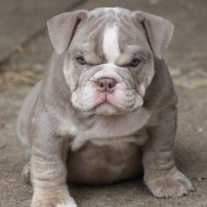 Meet your Posher, Krista